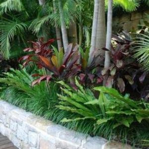 Meet your Posher, Dany